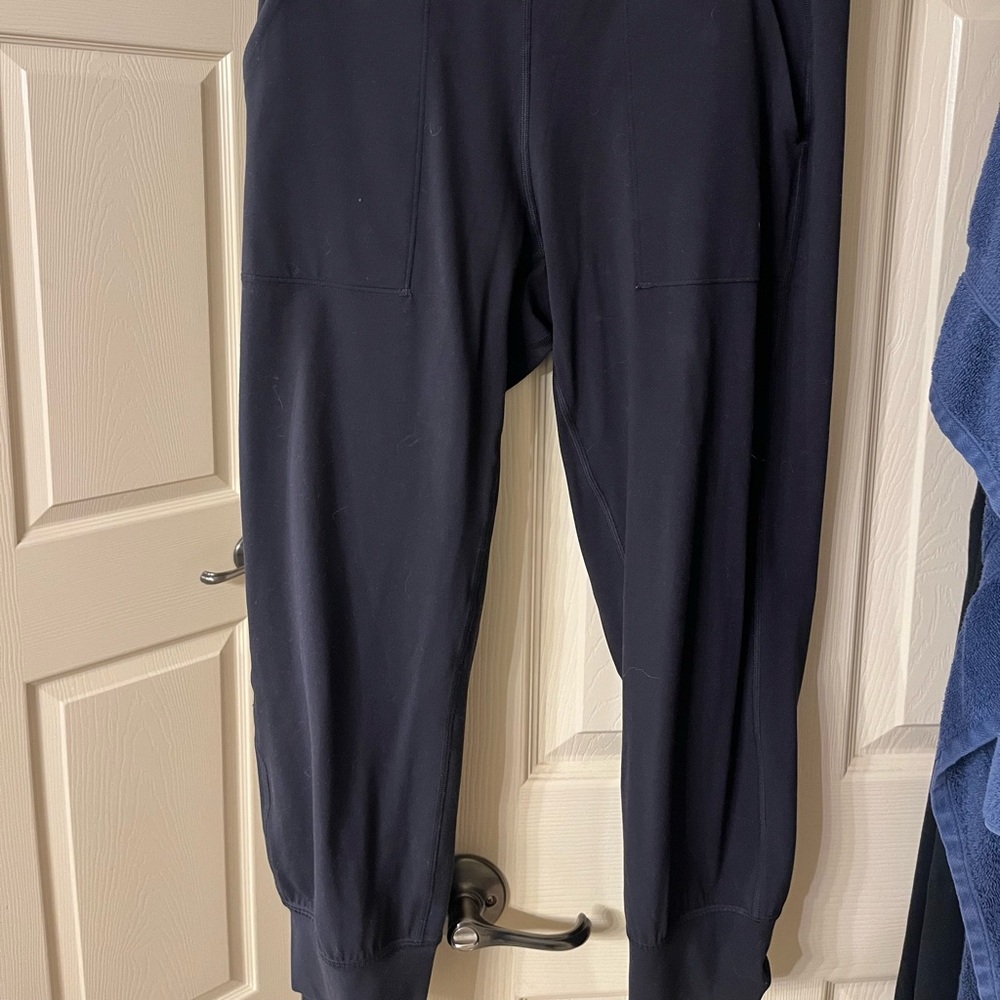 COPY - Lululemon Align Joggers